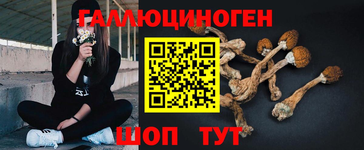 Галлюциногенные грибы Magic Shrooms  Вход с VPN  Галлюциногенные грибы Cubensis  Шахты 