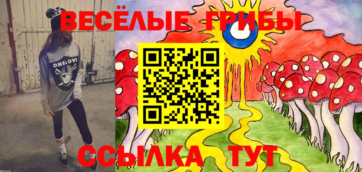 Галлюциногенные грибы MAGIC MUSHROOMS Шахты